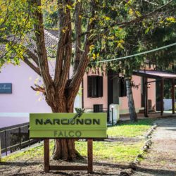Narconon Falco